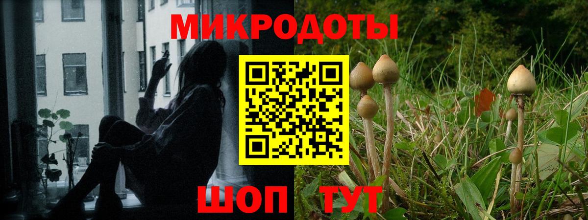 Галлюциногенные грибы прущие грибы  где купить   Гуково  Вход с VPN 