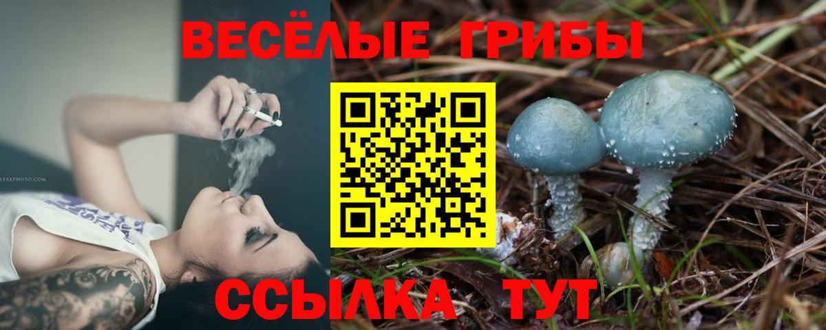 Галлюциногенные грибы GOLDEN TEACHER Гуково